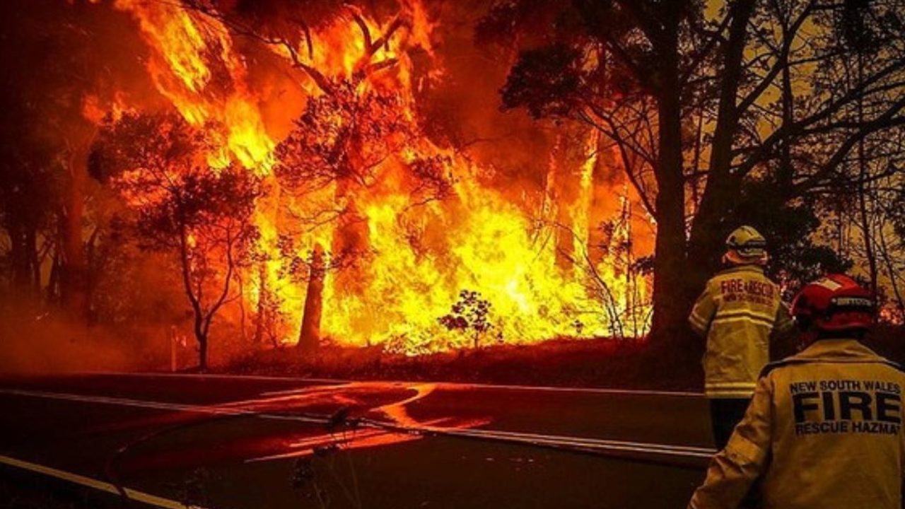 動画 オーストラリア山火事の原因はユーカリ 日本が報道しない理由 凛のtakara箱